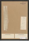 Navicula neumeyeri Jan. (de-Toni-Nr.: Genus 1, Species 390) Zeichnungen Sammlung Grunow Nr. 871 (NHMW-BOT-W0367322)